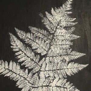 Meet your Posher, Marie